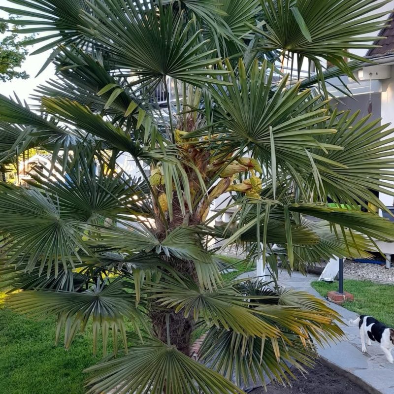 WhatsApp Image 2025-04-21 at 14.58.31