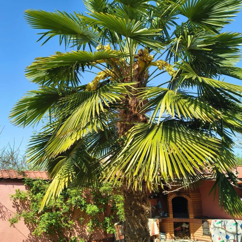 WhatsApp Image 2025-04-21 at 14.58.54