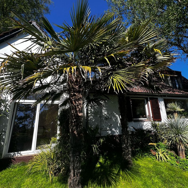 WhatsApp Image 2025-04-21 at 14.59.06 (2)