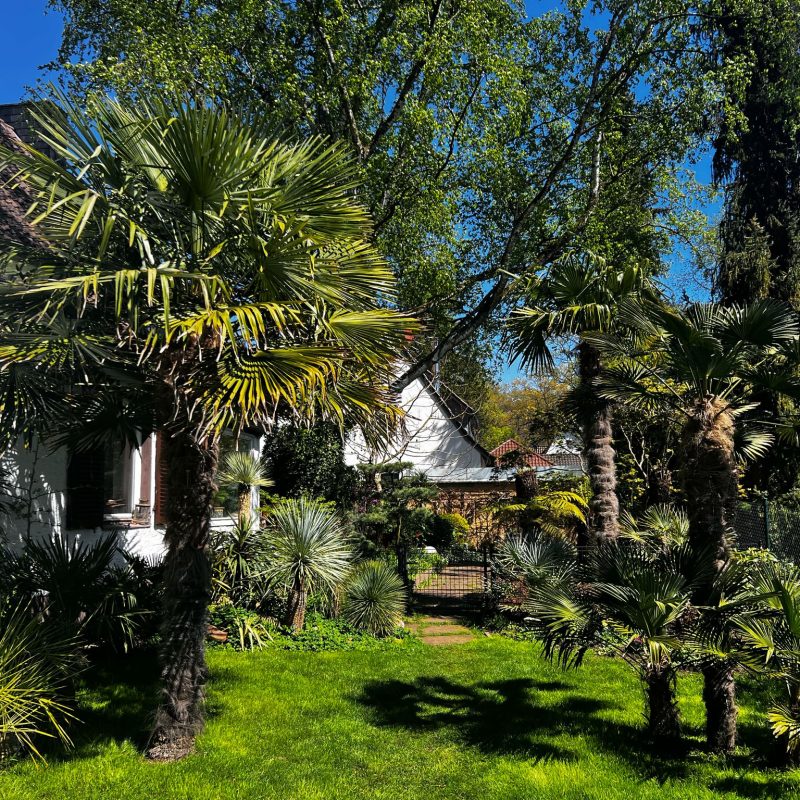 WhatsApp Image 2025-04-21 at 14.59.06 (3)