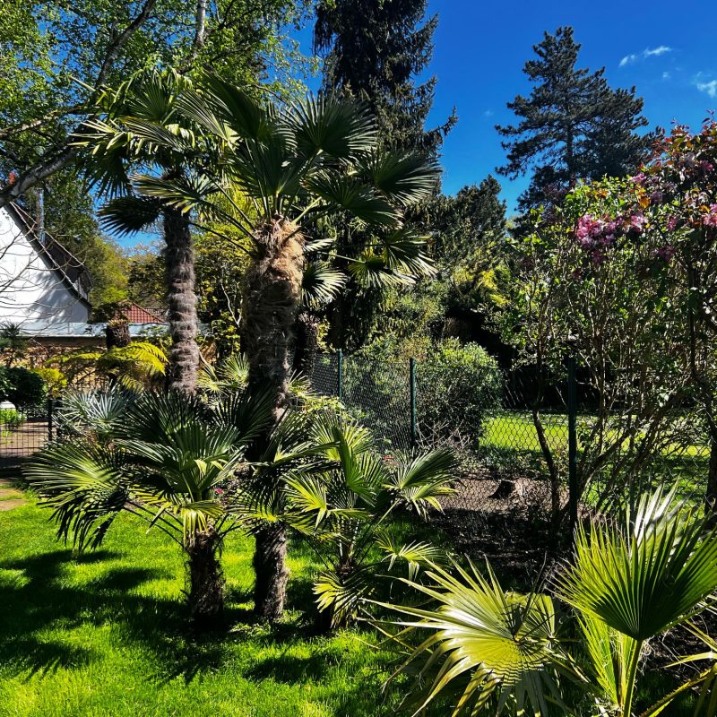 WhatsApp Image 2025-04-21 at 14.59.06