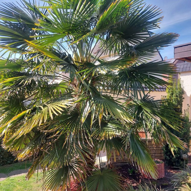 WhatsApp Image 2025-04-21 at 14.59.07 (4)