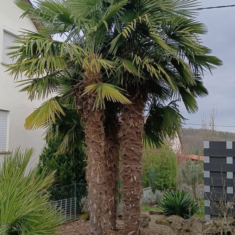 WhatsApp Image 2025-04-21 at 14.59.07 (5)