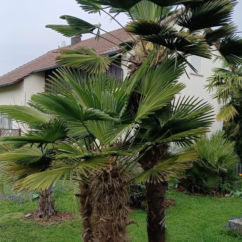 WhatsApp Image 2025-04-21 at 14.59.08